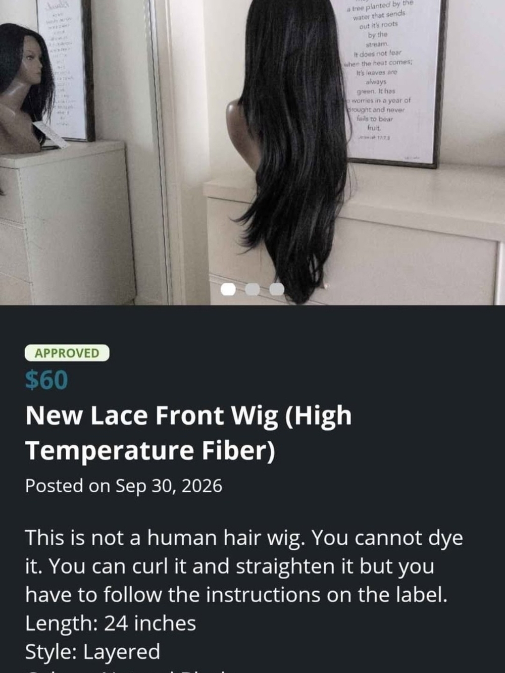 New Lace Front Wig (Black) - High Temperature Fiber